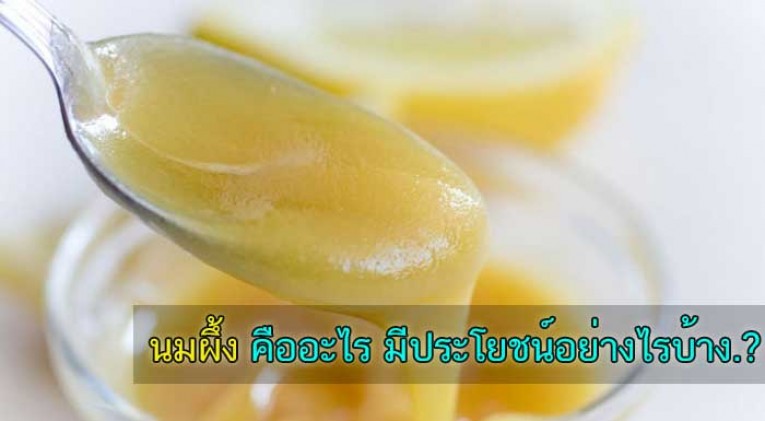 นมผึ้ง Royal Jelly ประโยชน์